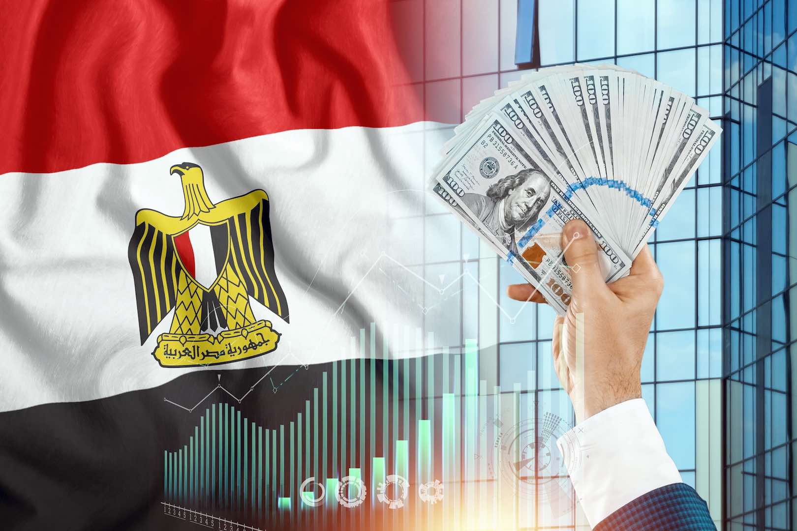 وزارة التخطيط المصرية تبرز الشركات التي تمكنت الحكومة من بيع أسهمها بنجاح